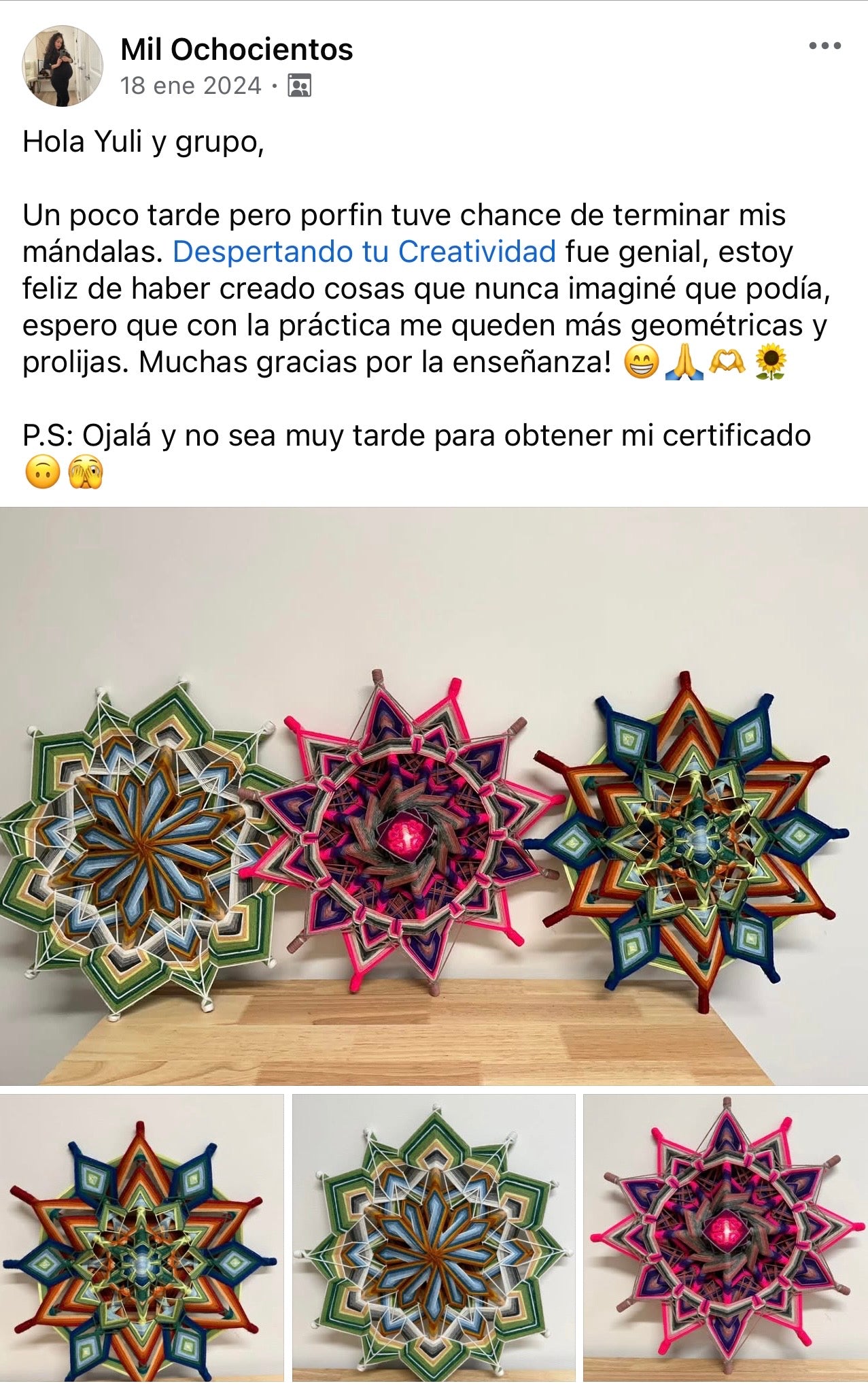 Despertando tu Creatividad
Mándalas de 12 puntas